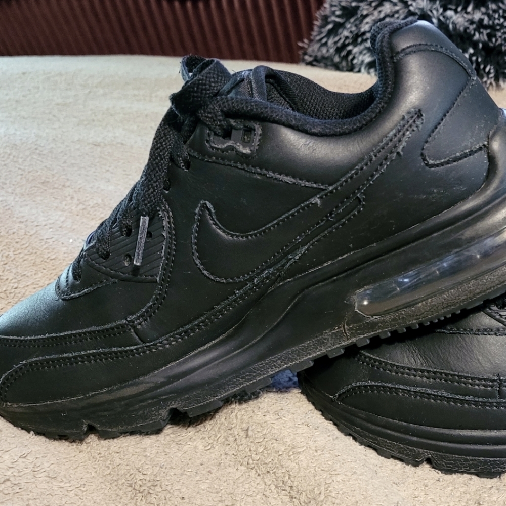 Nike Air Max Leather shoes